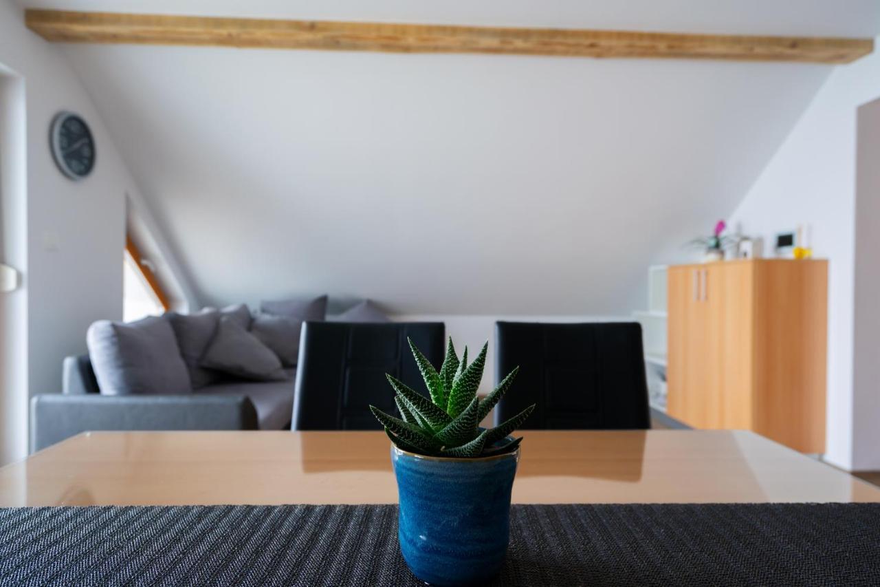 Pjagodic Apartments & Wellness Cerklje na Gorenjskem Eksteriør bilde
